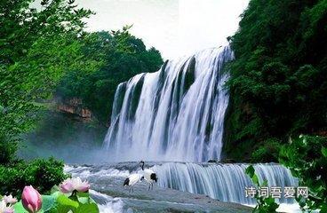救援受困的老虎